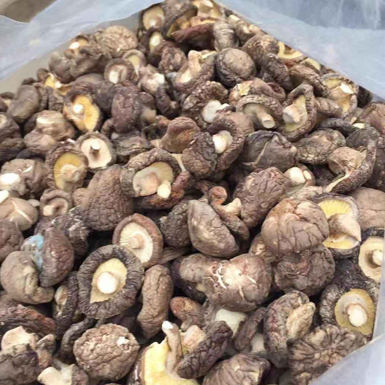 湖北隨州特產香菇 優質干菇，散裝代發大量供應