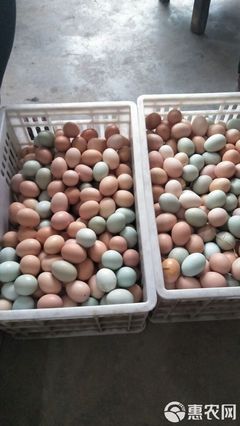土雞蛋 箱裝食用農(nóng)產(chǎn)品批發(fā)全指南