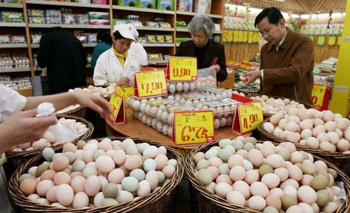畜禽變價(jià)預(yù)警 生豬漲勢(shì)放緩，雞蛋價(jià)格大幅攀升